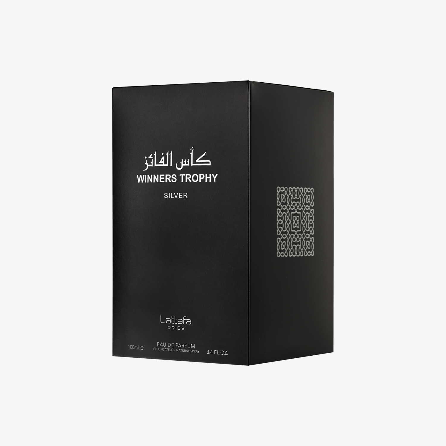 Winners Trophy Silver - Image 4